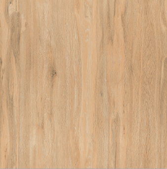 Bathroom Tile (60cm x 60cm)
