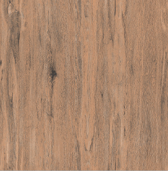 Bathroom Tile (60cm x 60cm)