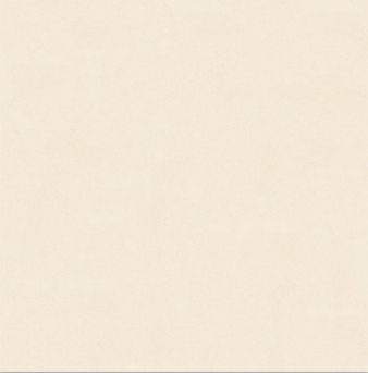 Bathroom Tile (60cm x 60cm)